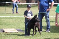 10 Jahre Veteranenklasse BJJM