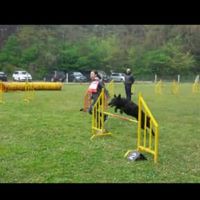 BJJM 2017 Agility 